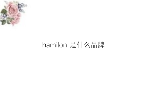 hamilon是什么品牌(havmoon是什么牌子)